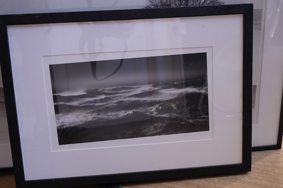 Six contemporary black and white photographic prints to include waves, horses, trees and a landscape with cattle, indistinctly signed, largest 38 x 58cm